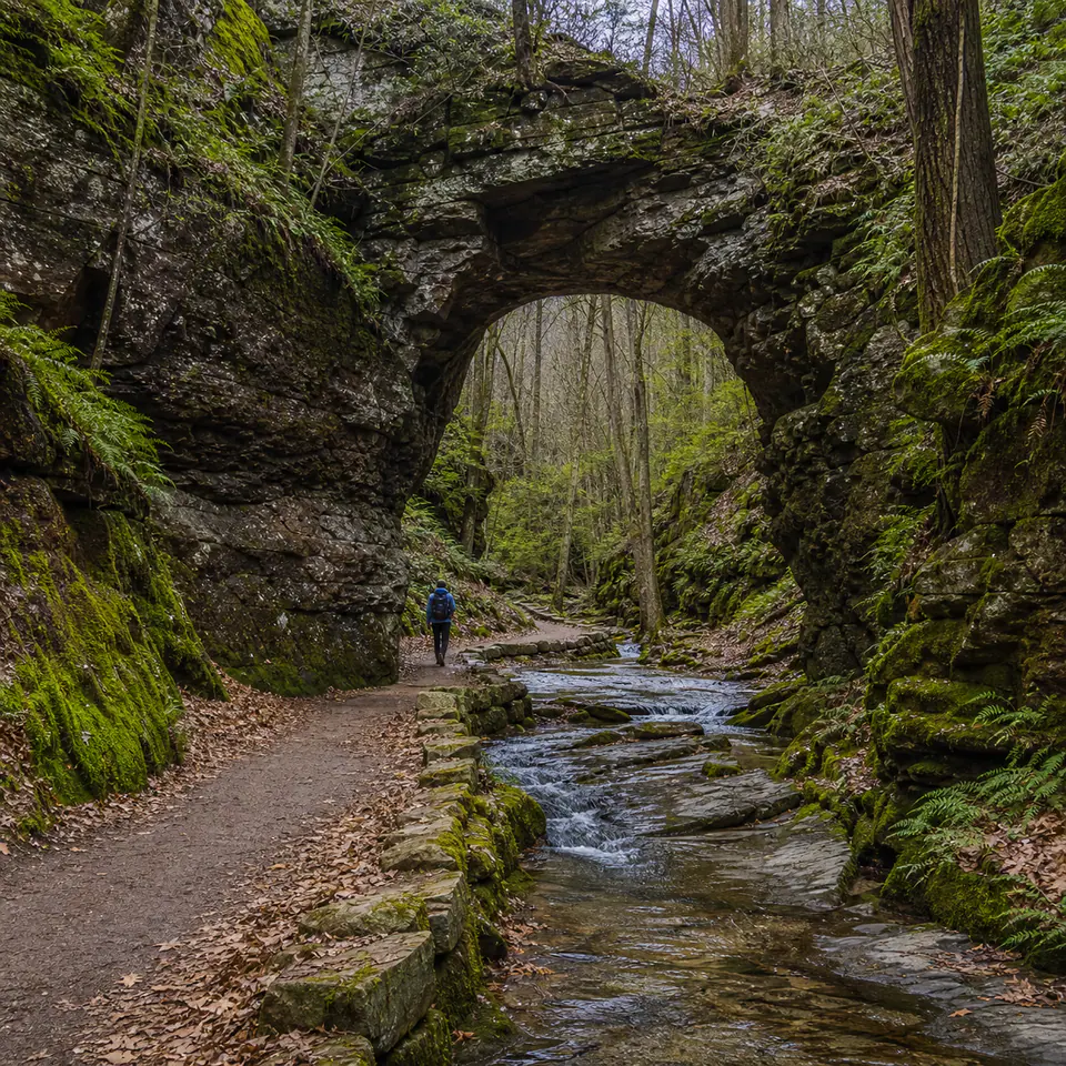 Slate Arch Preserve