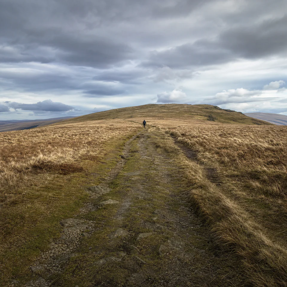 Juniper Hill