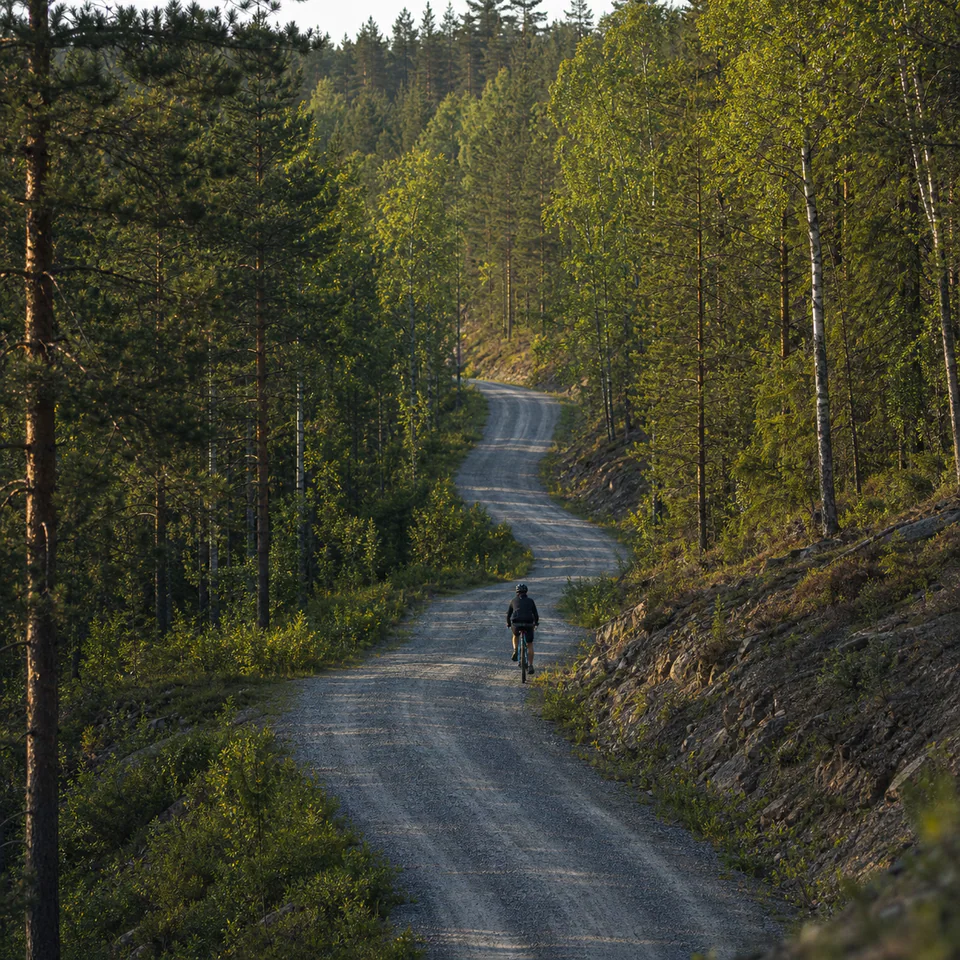 Tamarack State Forest